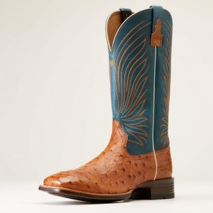 Antique Tan Full Quill Ostrich Ariat Brandin' Ultra Western Boot | 75GLKSXJY