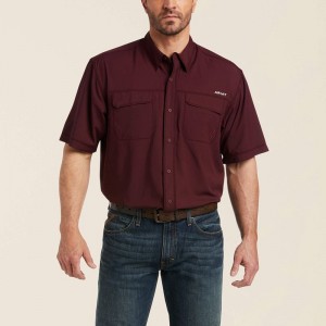 Berry Bark Ariat Venttek Outbound Classic Fit Shirt | 89XFMECVT