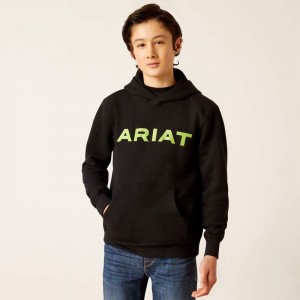 Black Ariat Front Logo Hoodie | 23XNZPQIK