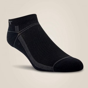 Black Ariat Venttek® Lightweight Low Cut Boot Sock 3 Pair Pack | 21WEJLYMT