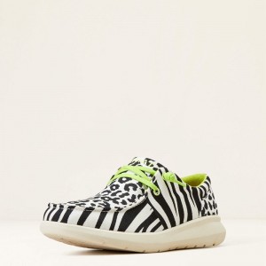 Black White Animal Print Ariat Hilo | 64JHYKQDI