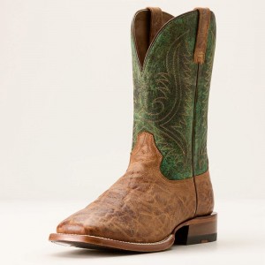 Brass/Mountain Forest Ariat Circuit Paxton Cowboy Boot | 47SVTMFDR