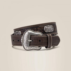 Brown Ariat Filigree Concho Belt | 80LIFQKJC