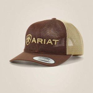 Brown Ariat Large Embossed Lgoo Mash Cap | 97HLRVFGW