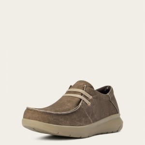 Brown Canvas Ariat Hilo | 10HOSZYQR