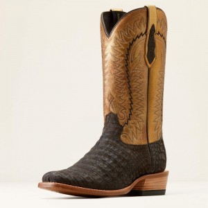 Brushed Chocolate Caiman Belly/ Washed Gold Ariat Futurity Finalist Cowboy Boot | 41INYBGAP