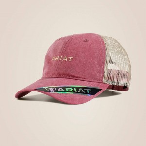 Burgundy Ariat Small Logo Cap | 45TWCLHID