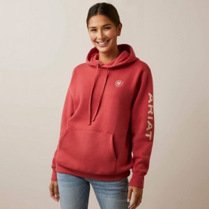 Cardinal Ariat Logo Hoodie | 19TGYUWSE