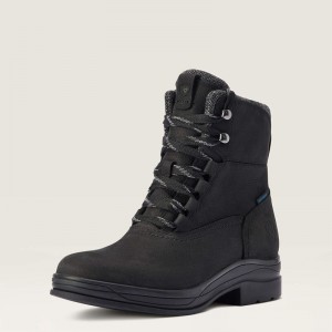 Charcoal Ariat Harper Waterproof Boot | 07PTLNEQU