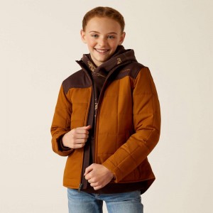 Chestnut Horse/Chocolate Plum Ariat Crius Jacket | 27RDUNJKX