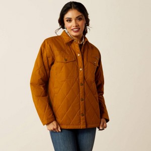 Chestnut Horse Ariat Grizzly Quilted Barn Jacket | 52TCHJGID