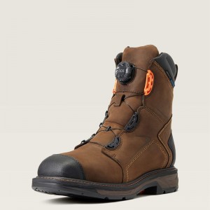 Chocolate Brown Ariat Workhog Xt 8" Boa Waterproof Carbon Toe Work Boot | 47GETOHLA