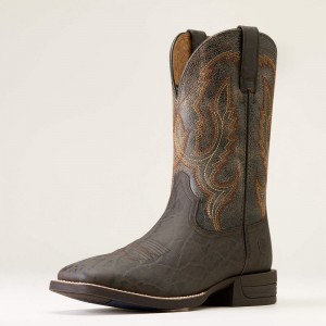 Chocolate Elephant Print Ariat Steadfast Western Boot | 62HTDWJSP