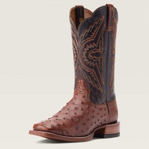 Cinnamon Full Quill Ostrich Ariat Broncy Western Boot | 46EXCLWDJ