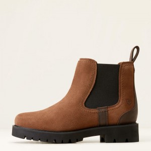 Dark Earth Ariat Wexford Lug Waterproof Chelsea Boot | 43VGLFNZT