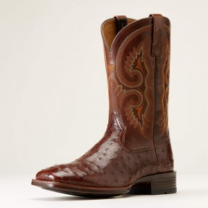 Dark Tabac Full Quill Ostrich Ariat Barley Ultra Western Boot | 90IYKWLGS