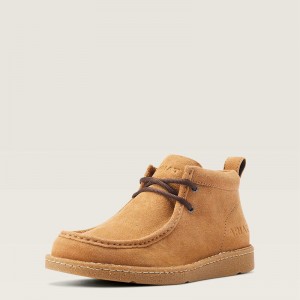 Dark Tan Ariat Clean Country | 92NEIJAFP