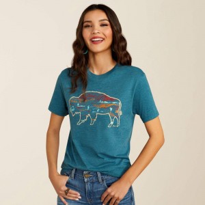 Deep Sea Heather Ariat Bison Ranch T-Shirt | 64EYMFHPZ