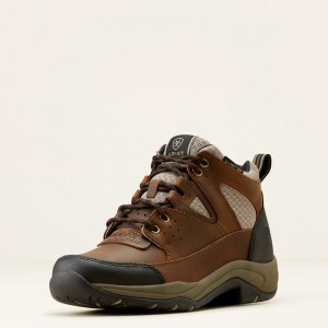 Distressed Brown/Taupe Ariat Terrain Venttek 360 Boot | 61UZESDYH