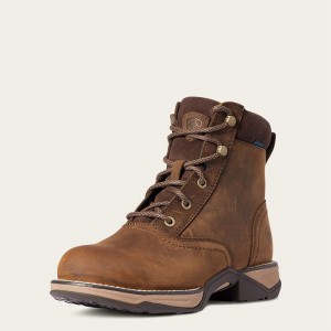 Distressed Brown Ariat Anthem Round Toe Lacer Waterproof Boot | 49HVIRNUG