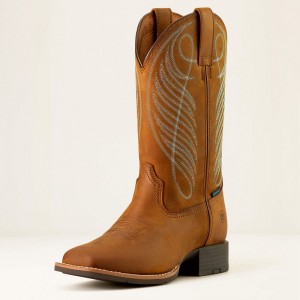 Distressed Brown Ariat Round Up Wide Square Toe Waterproof Western Boot | 25HRLIOVX