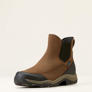 Distressed Brown Ariat Terrain Blaze Waterproof Boot | 29NHBLTEK