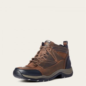 Distressed Brown Ariat Terrain | 36XAFCGNQ