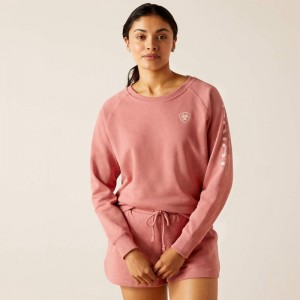 Dusty Rose Ariat Logo Sweatshirt | 80XPHOCTZ