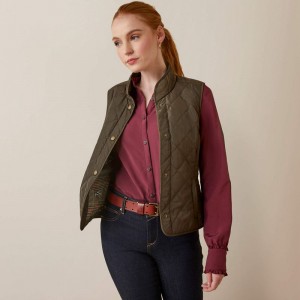 Earth Ariat Woodside Vest | 18SWRCGQJ