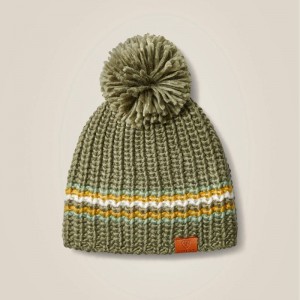 Fall Pasture Ariat Salem Beanie | 46JACEZID