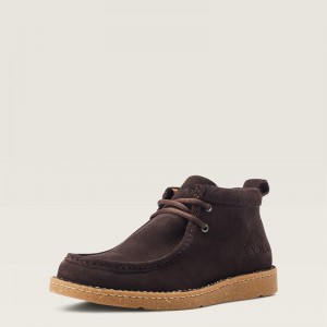 Fudge Ariat Clean Country | 53ZJIPKQA