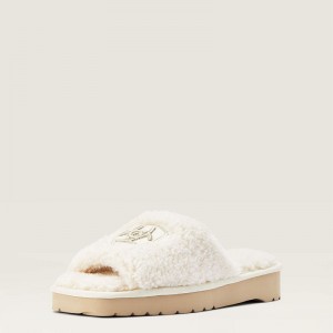 Fuzzy Cream Ariat Cozy Chic Square Toe Slipper | 68LICQXSO