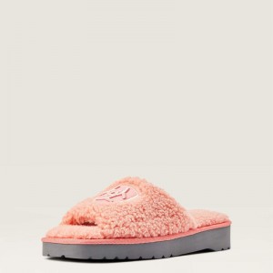 Fuzzy Pink Ariat Cozy Chic Square Toe Slipper | 58IVBMKGH