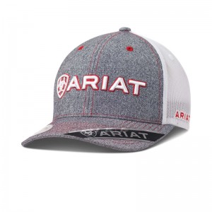 Gray Ariat Logo Mesh Snapback | 10DECYARS