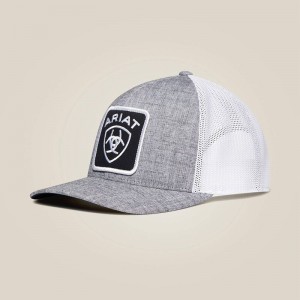 Gray Ariat Logo Patch Cap | 36TOBGLQF