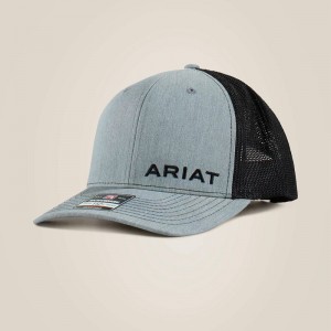 Gray Ariat Offset Logo Cap | 73JABPXSN