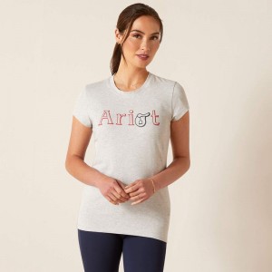 Heather Grey Ariat Saddle T-Shirt | 41RZDHFOX