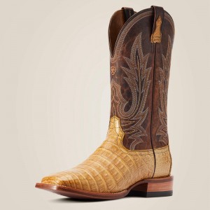 Honeycomb Caiman Belly Ariat Gunslinger Cowboy Boot | 23AOQUIMV