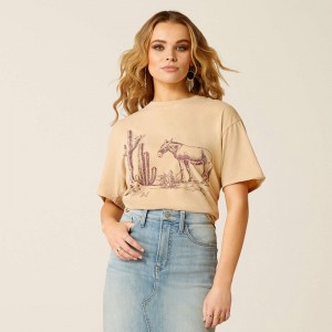 Irish Cream Mineral Wash Ariat Burro T-Shirt | 83QFXVZDR