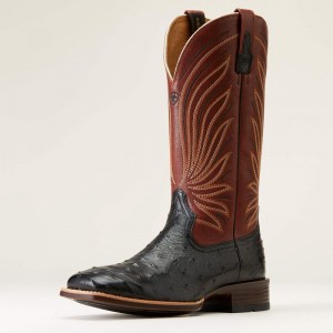 Jet Black Full Quill Ostrich Ariat Brandin' Ultra Western Boot | 54WOSDZTU