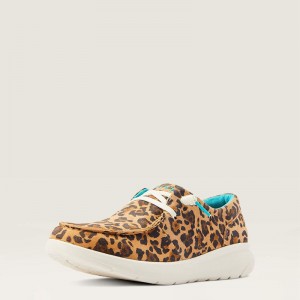 Lively Leopard Ariat Hilo | 34ABPJCXL