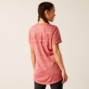 Mineral Red Ariat Rebar Evolution Logo T-Shirt | 47FNZIRUH