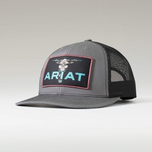 Multi Ariat Bull Skull Cap | 40QHFXGKN