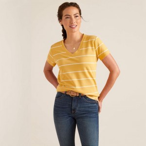 Ochre Stripe Ariat Fairford T-Shirt | 26UOBAYDN