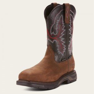 Oily Distressed Brown Ariat Workhog Xt Waterproof Carbon Toe Work Boot | 25QVLGJFY