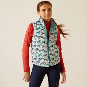 Painted Ponies/Brittany Blue Ariat Bella Reversible Insulated Vest | 32CGBHJWY