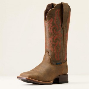 Pebble Ariat Primera Stretchfit Waterproof Western Boot | 63IXZLWGU