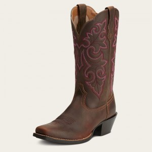 Powder Brown Ariat Round Up Square Toe Western Boot | 29MDWJNYH