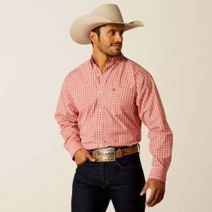 Red Ariat Pro Series Roscoe Classic Fit Shirt | 31IUMALQO