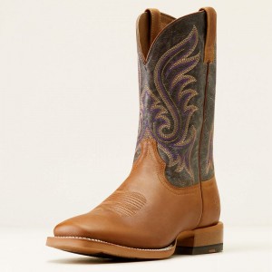 Rodeo Tan/Smokey Purple Ariat Cattle Call Cowboy Boot | 30NEOHXYI